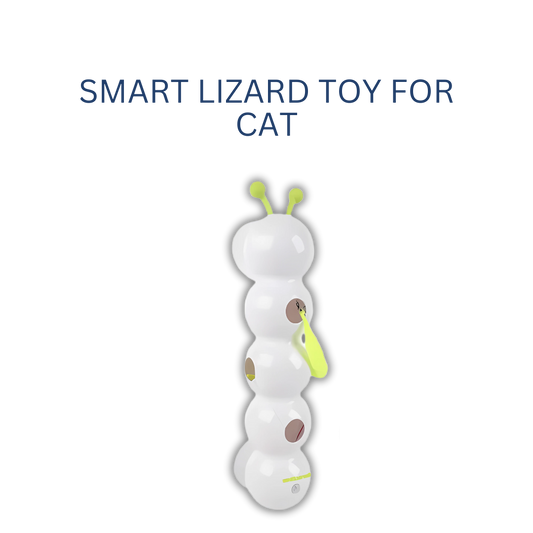 Smart Lizard toy for cat