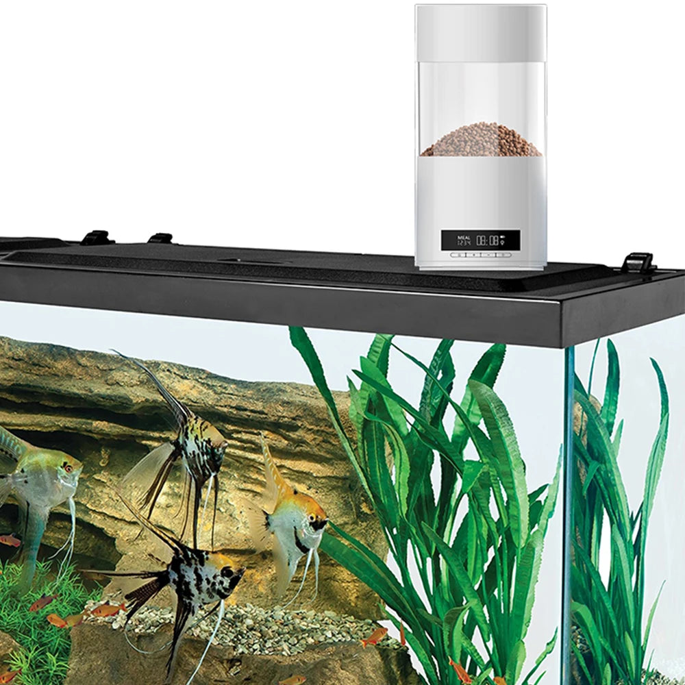New Timer Fish Feeder Automatic Fish Feeder Digital Aquarium Food Feeding Tools Portable Feeding Dispenser - New House Pets