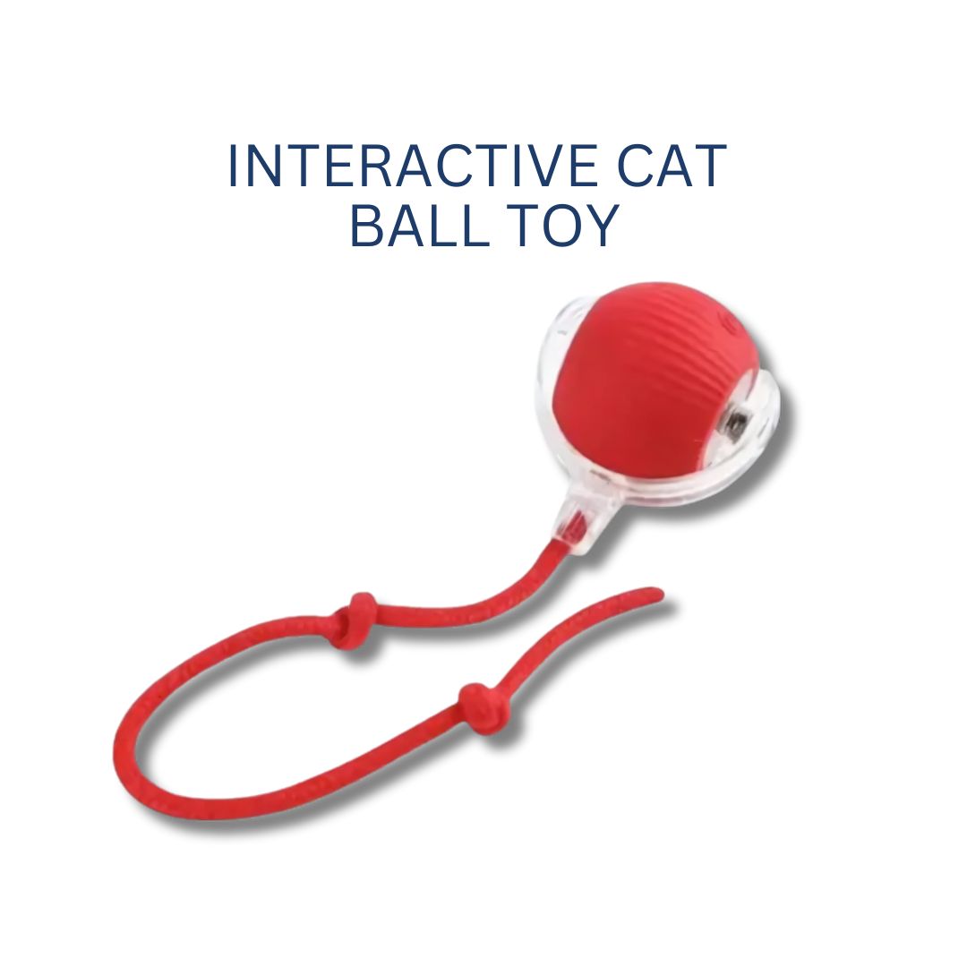 Interactive Cat Ball Toy