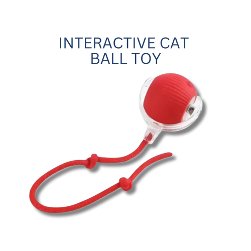 Interactive Cat Ball Toy