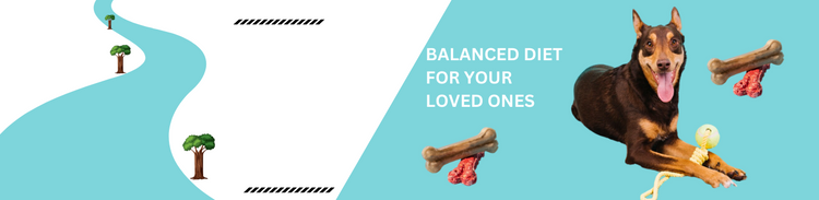 BALANCED_DIET_FOR_YOUR_LOVED_ONES_2 - New House Pets