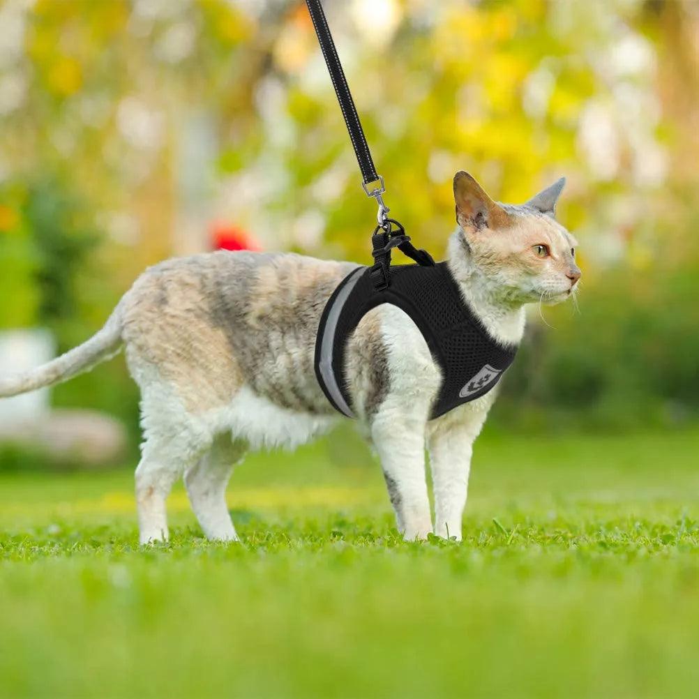 Breathable Cat Harness And Leash Escape Proof Pet Clothes Kitten Puppy Dogs Vest Adjustable Easy Control Reflective Cat Harness - New House Pets