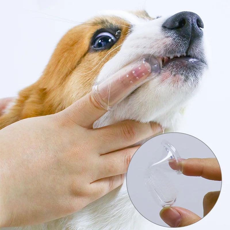 Super Soft Pet Finger Toothbrush Teddy Dog Brush Bad Breath Tartar Teeth Care Tool Dog Cat Cleaning Silicagel Pet Supplies - New House Pets