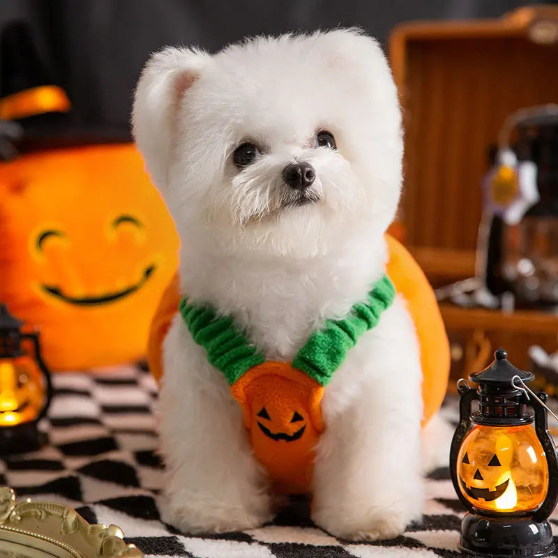 Pumpkin Paws: Cosy Two-Legged Halloween & Christmas Costume for Cats and Dogs