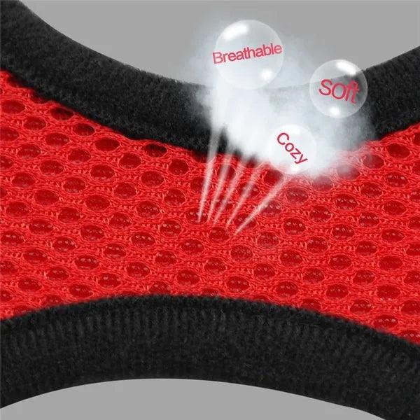 Cat Dog Harness with Lead Leash Adjustable Vest Polyester Mesh Breathable Harnesses Reflective sti for Small Dog Cat accessories - New House Pets
