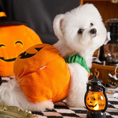 Pumpkin Paws: Cosy Two-Legged Halloween & Christmas Costume for Cats and Dogs