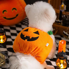 Pumpkin Paws: Cosy Two-Legged Halloween & Christmas Costume for Cats and Dogs