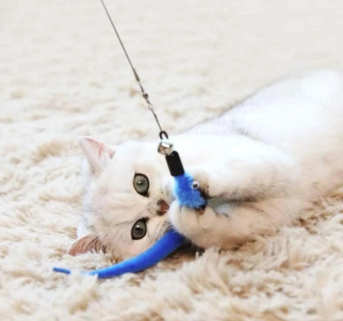 11pcs Replacement Cat Feather Toy Set Feather Replacement Head Retractable Cat Stick Cat Products - New House Pets