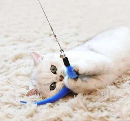 11pcs Replacement Cat Feather Toy Set Feather Replacement Head Retractable Cat Stick Cat Products - New House Pets