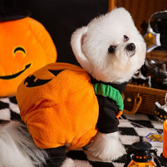 Pumpkin Paws: Cosy Two-Legged Halloween & Christmas Costume for Cats and Dogs